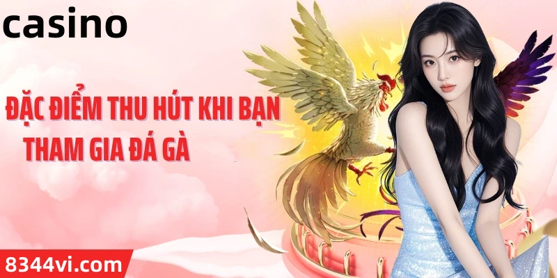 Hình ảnh quảng cáo của 24n hiển thị nền tảng và các lợi ích