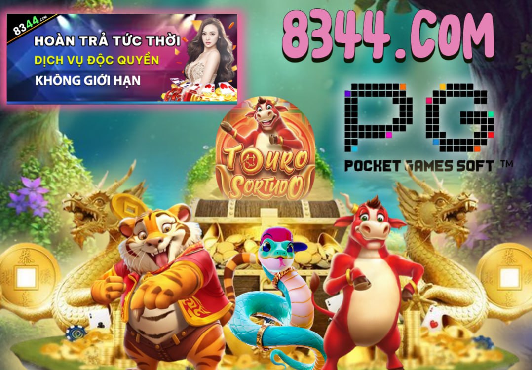 Hình ảnh quảng cáo của 24n hiển thị nền tảng và các lợi ích