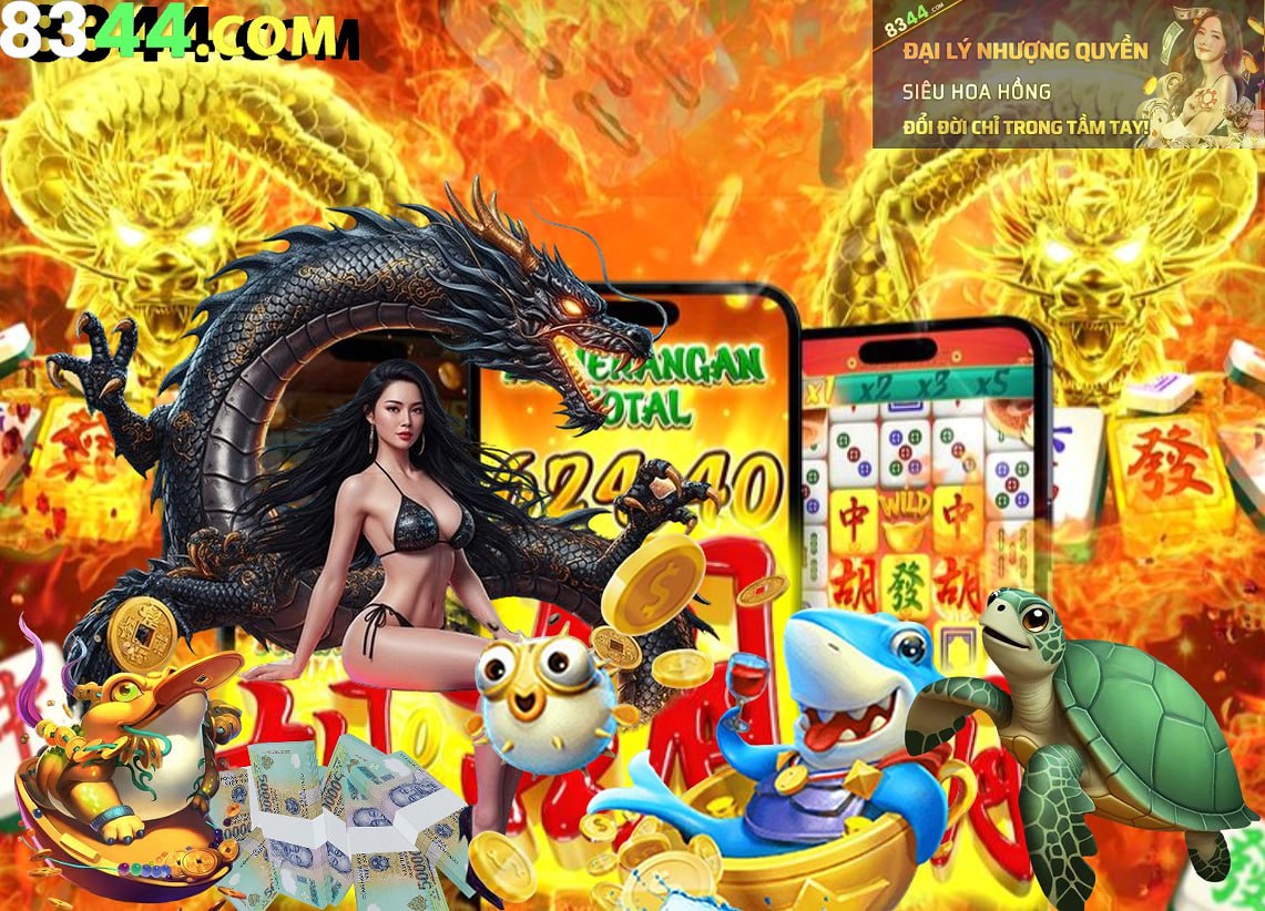 Hình ảnh quảng cáo của 24n hiển thị nền tảng và các lợi ích